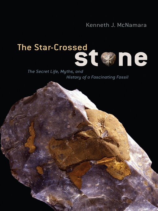 Title details for The Star-Crossed Stone by Kenneth J. McNamara - Available